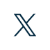 X (Twitter)